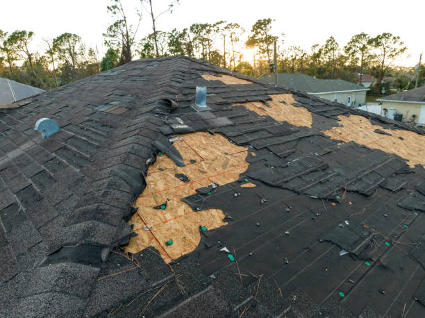 Best Sheet Metal Roofing  in Green Bay, WI